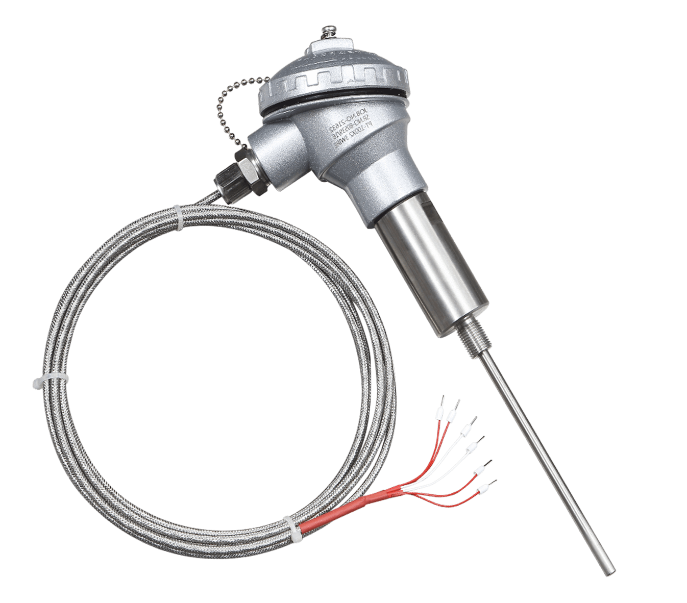 RTD Temperature Sensor